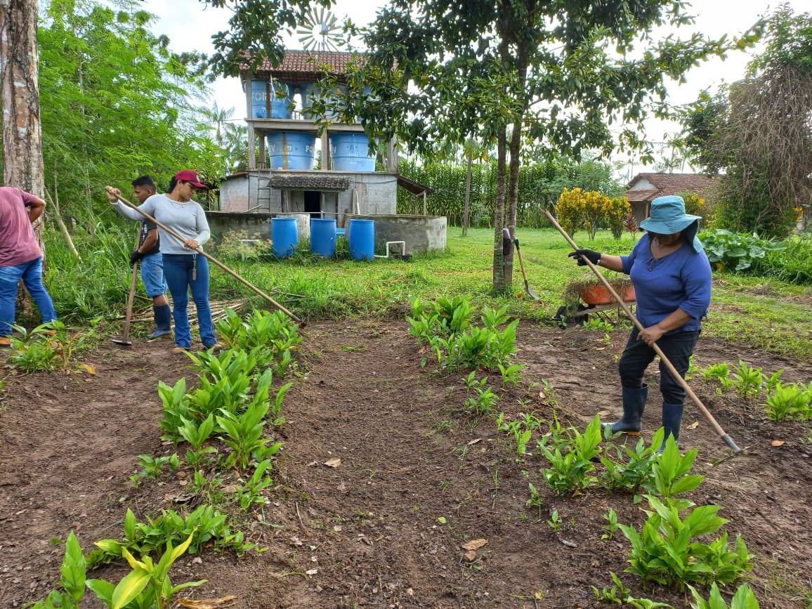 BRASILE - Agroecologia, economia solidale e cittadinanza attiva in Amazzonia